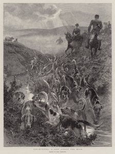 Cub-Hunting, a Spin Across the Moor